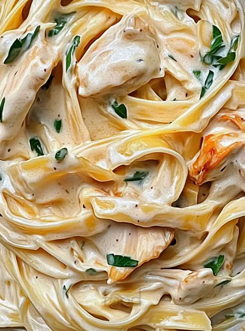 DELICIOUS CHICKEN ALFREDO PASTA 