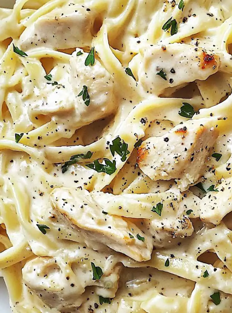 DELICIOUS CHICKEN ALFREDO PASTA 