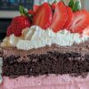 Neapolitan Cake