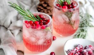 Christmas Moscow Mule (5)