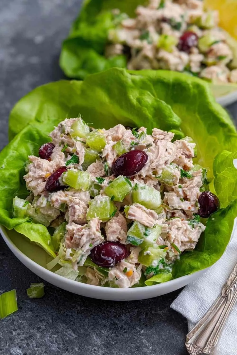 Healthy tuna salad in white bowl with celery pickles and Greek yogurt