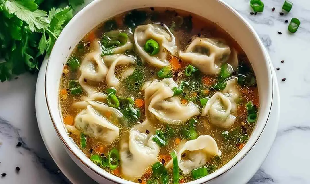 Potsticker Soup