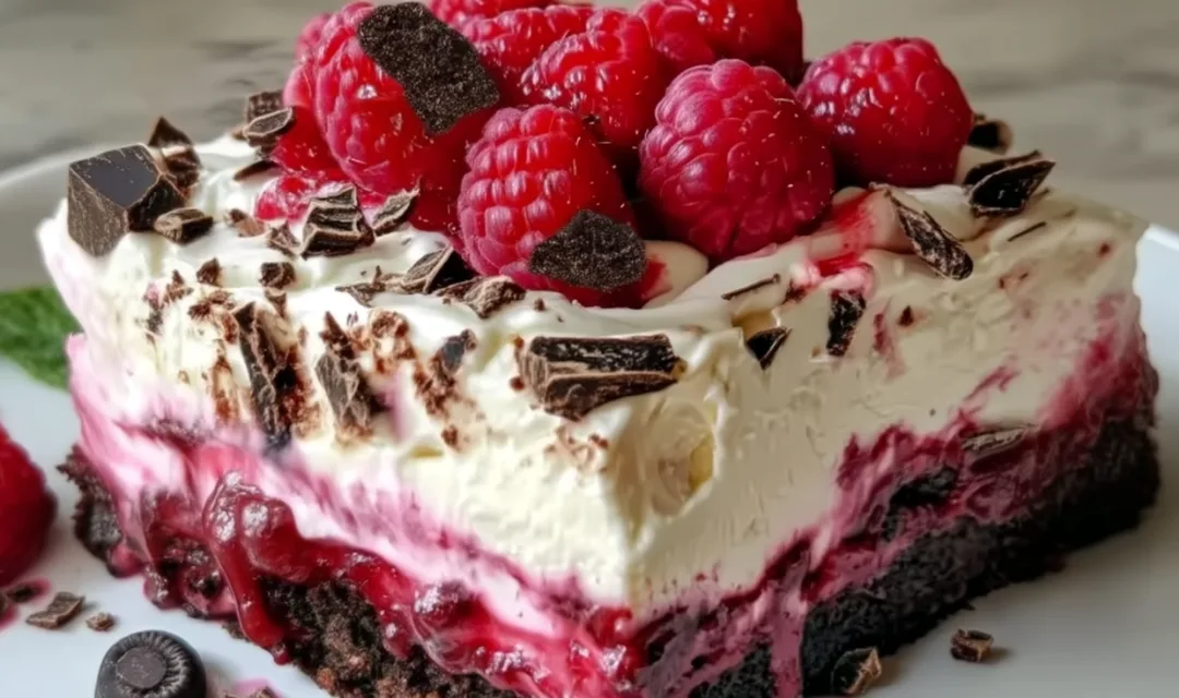 Raspberry Chocolate Lasagna