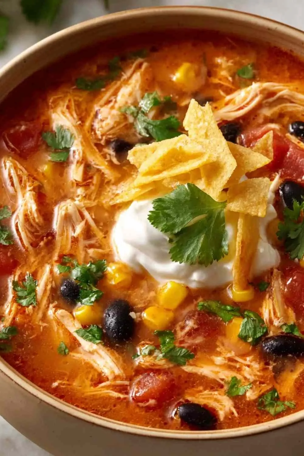 chicken enchilada soup in a rustic bowl topped with shredded cheese and tortilla chips