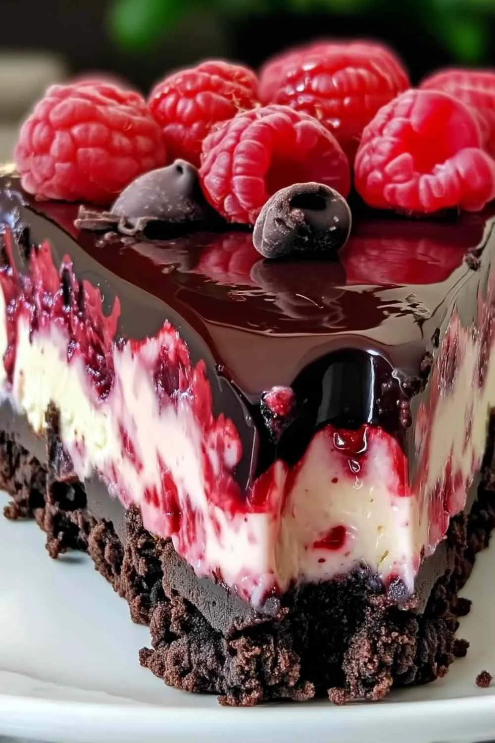 Dark Chocolate Raspberry Cheesecake